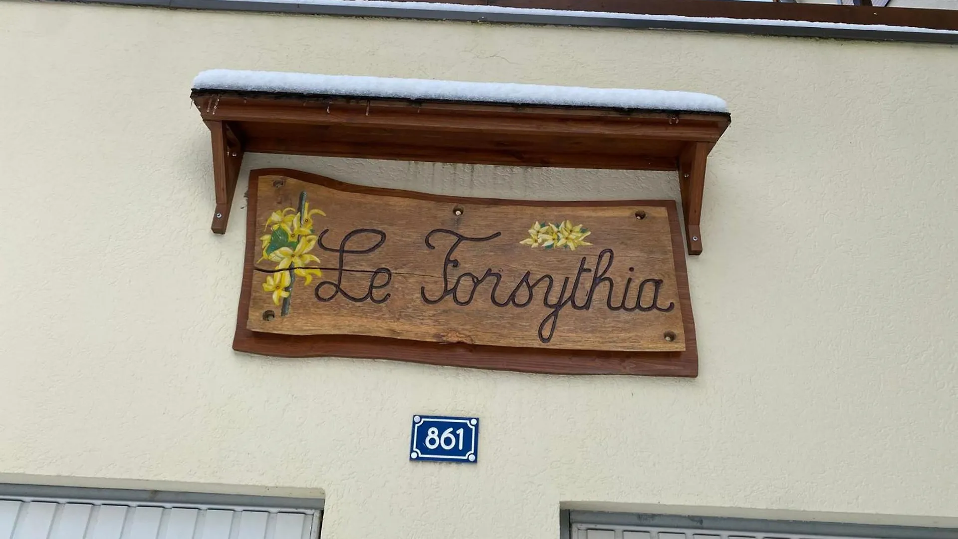 Mignon Studio Proche Centre De Chatel Avec Multi Pass A 3€/Jour/Personne! - Fr-1-693-78 0*,  France